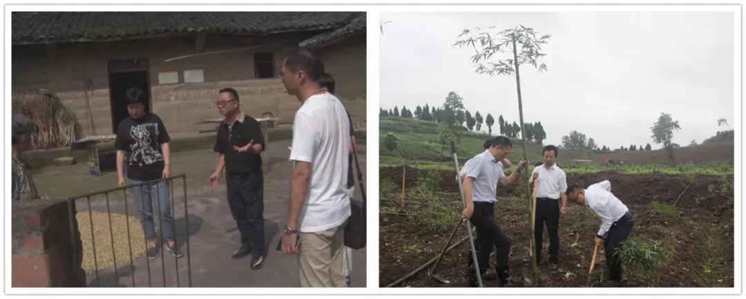 微信图片_20191025093118.jpg 微信图片_20191025093118.jpg